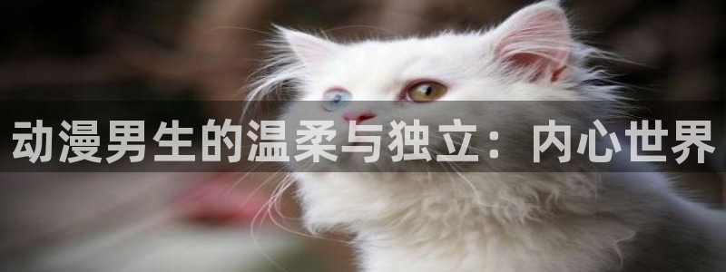 YY漫画新作推荐：动漫男生的温柔与独立：内心世界配图